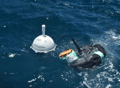 Drifting buoy