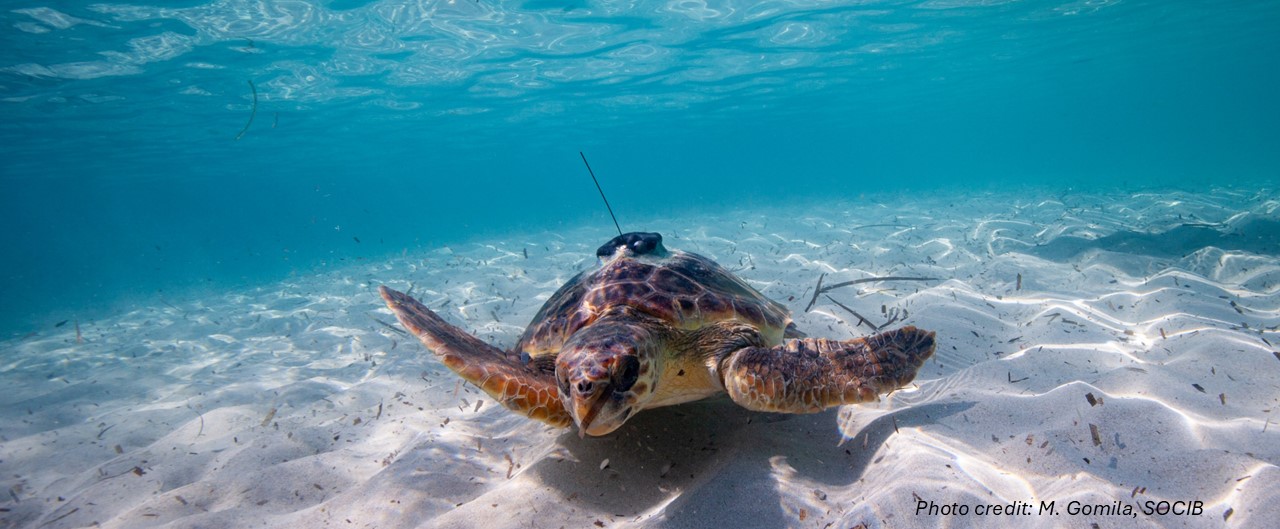 supporting fisheries and marine ecosystems