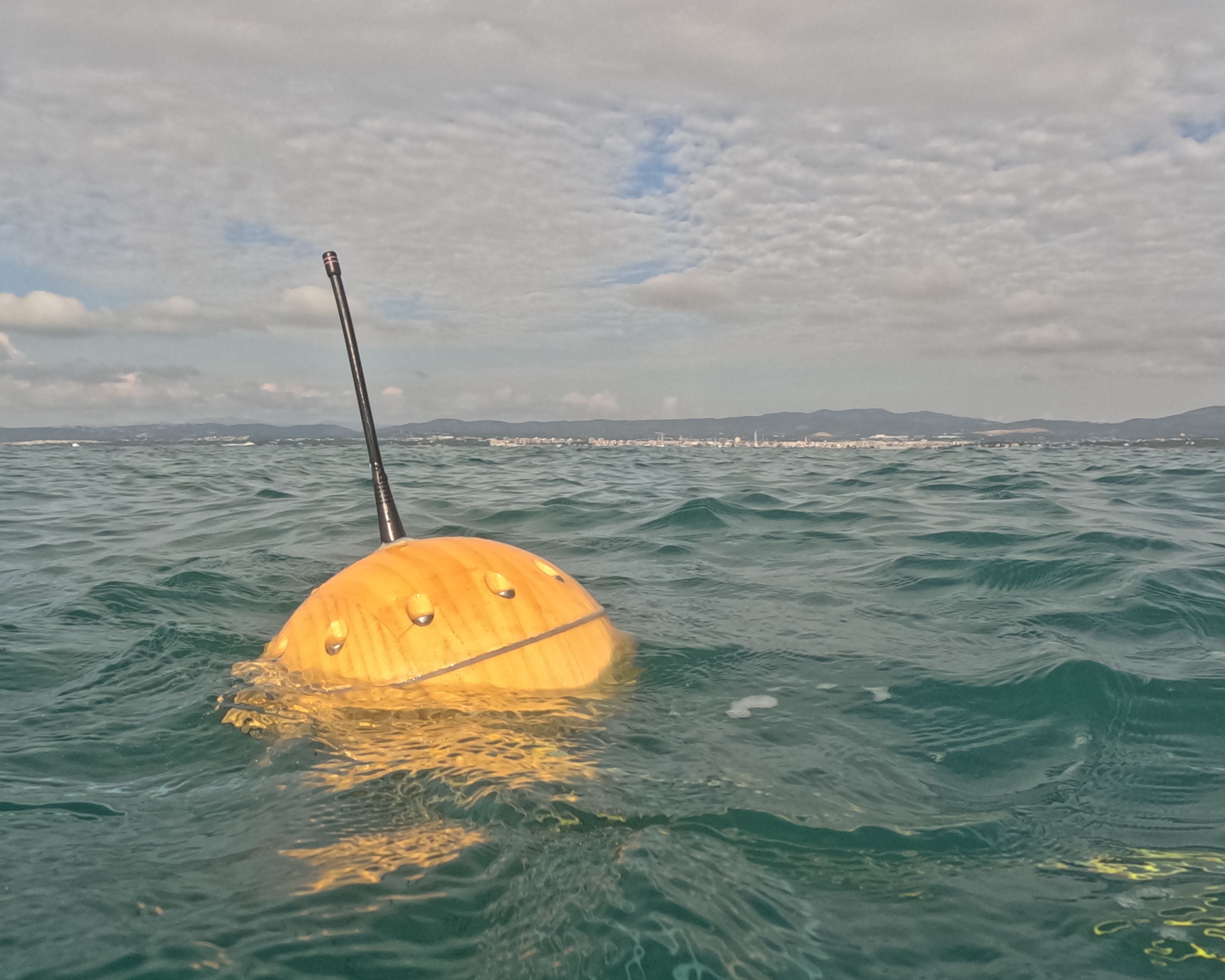 Wooden buoy
