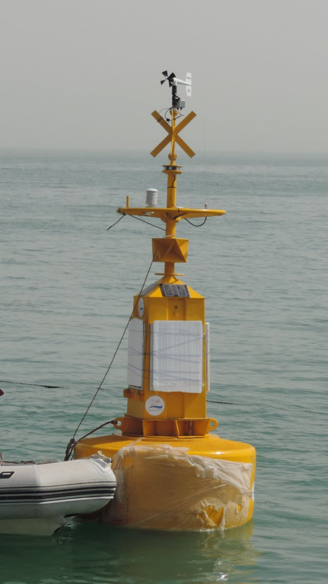 Task Team on Moored Buoys